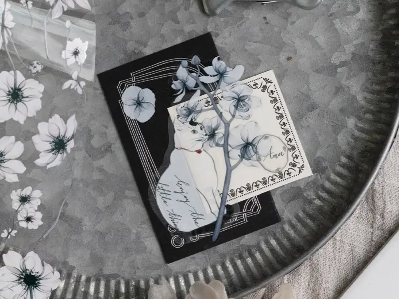 Loidesign Clear PET Tape - Fiery