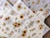 Loidesign Transfer Sticker - Sunflower