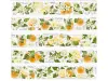 Pre-Order Baicangjia Studio Die-Cut Washi Tape - Tangerine Blossoms