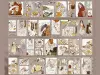 Pre-Order Xiaobaijia Die-Cut PET Tape - Panel Journal