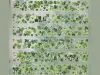 Pre-Order Xiaobaijia Kiss-Cut Washi Tape - Four-Leaf Clover