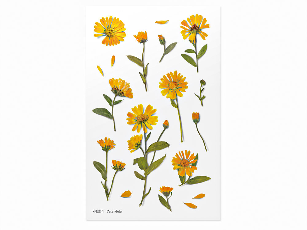 Appree Pressed Flower Stickers - Calendula