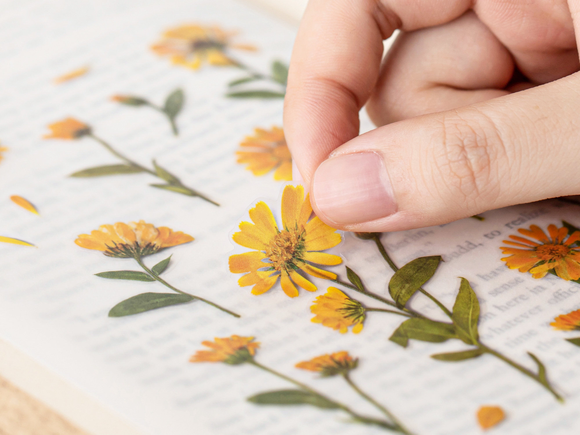 Appree Pressed Flower Stickers - Calendula