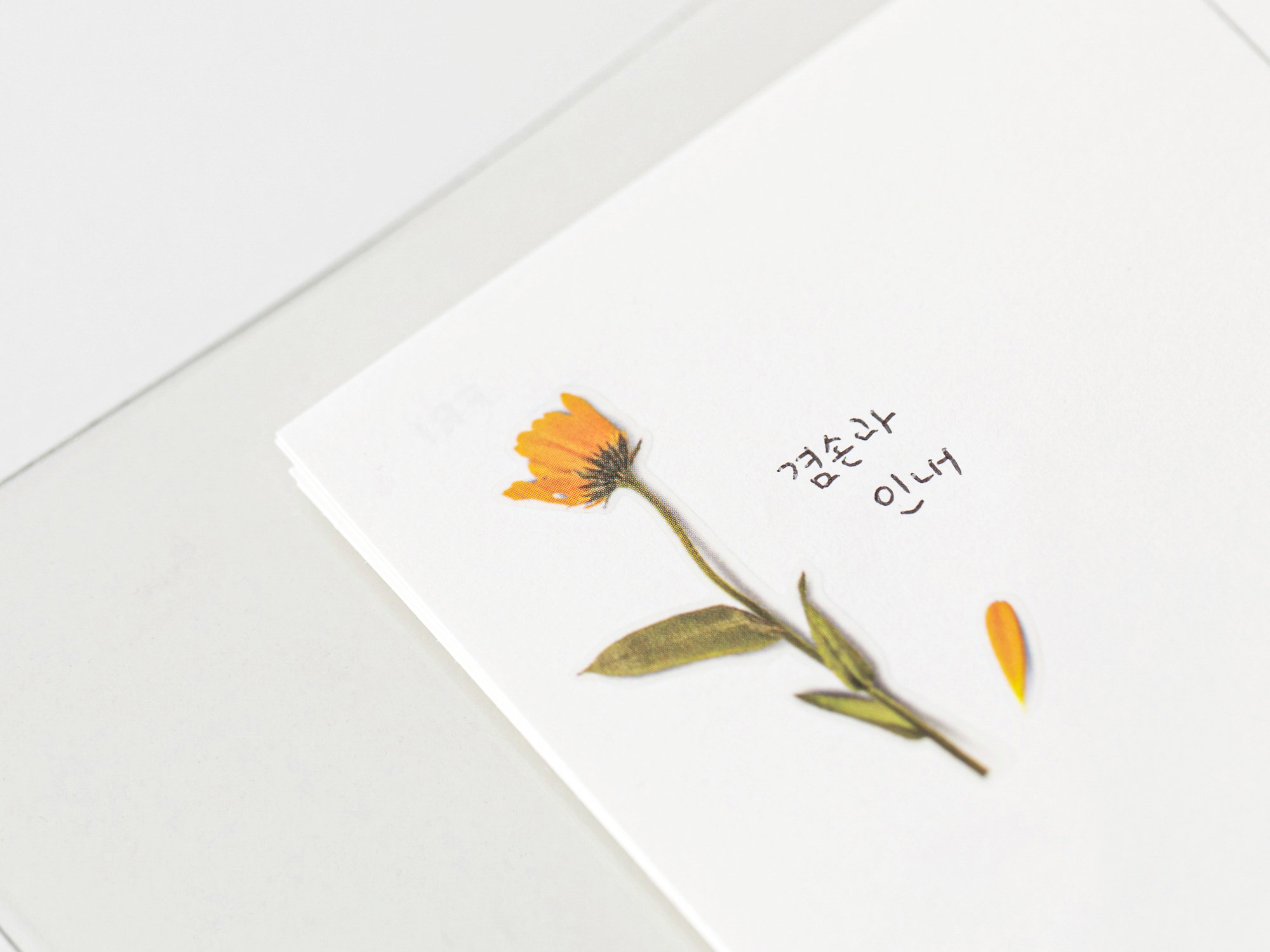 Appree Pressed Flower Stickers - Calendula
