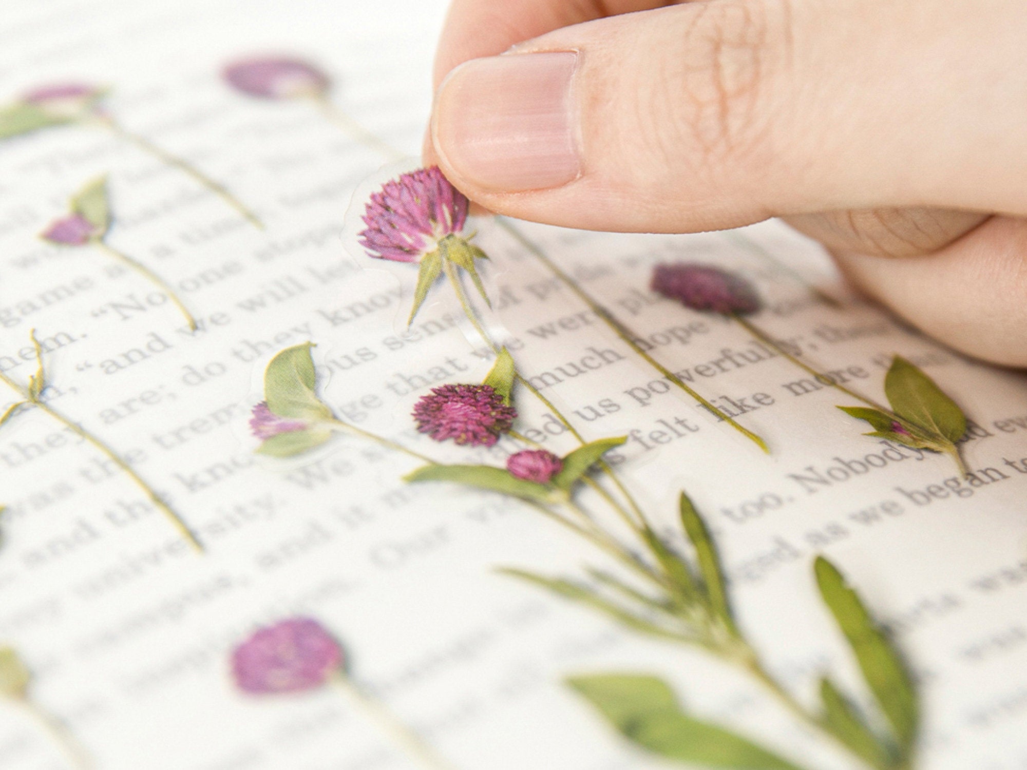 Appree Pressed Flower Stickers - Globe Amaranth
