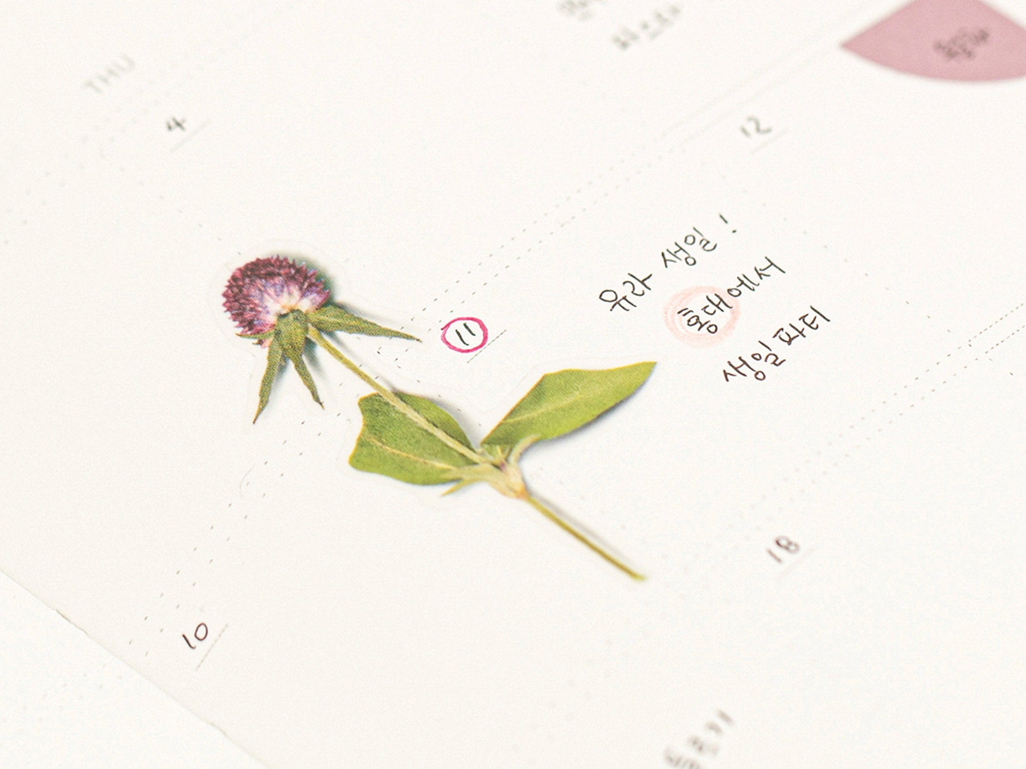 Appree Pressed Flower Stickers - Globe Amaranth
