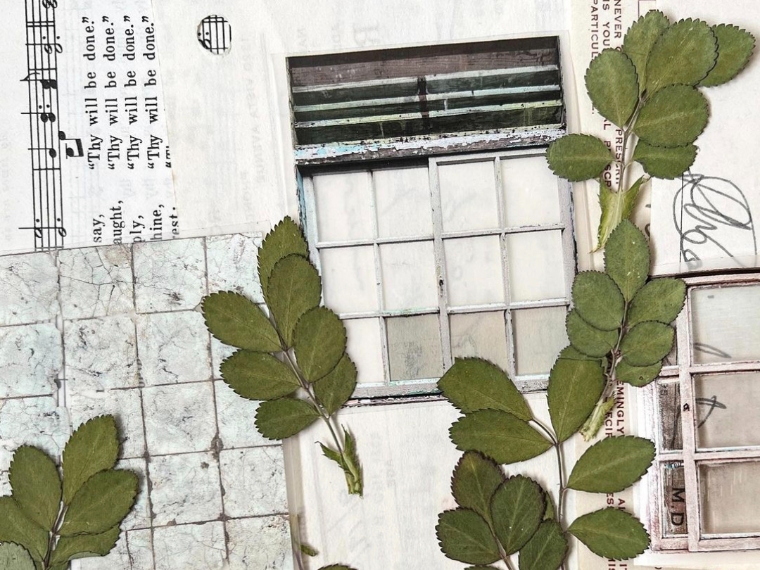 Plus Minus Matte PET Tape - Collection