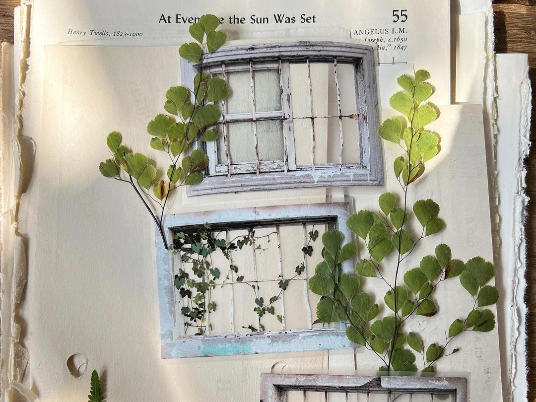 Plus Minus Matte PET Tape - Collection