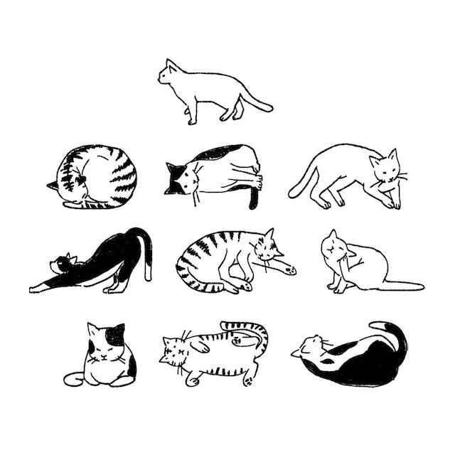 Ponchise Clear PET Tape - Cat