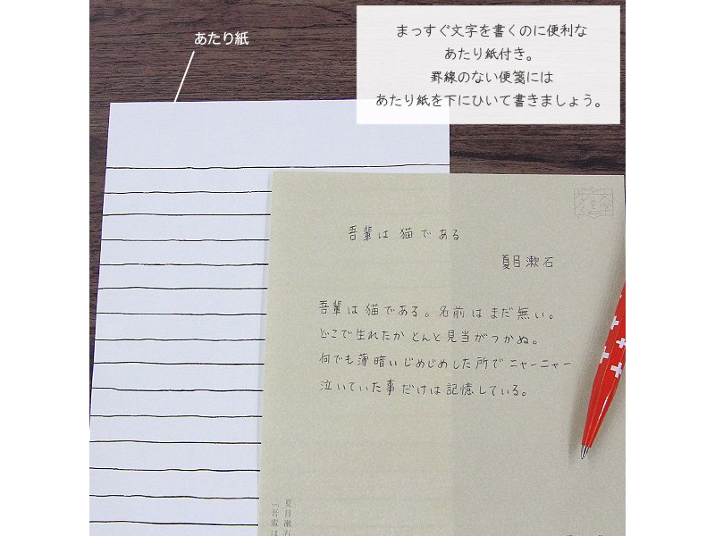 Shinzi Katoh Letter Set A5 Soseki Natsume Walking Literature - I am a Cat