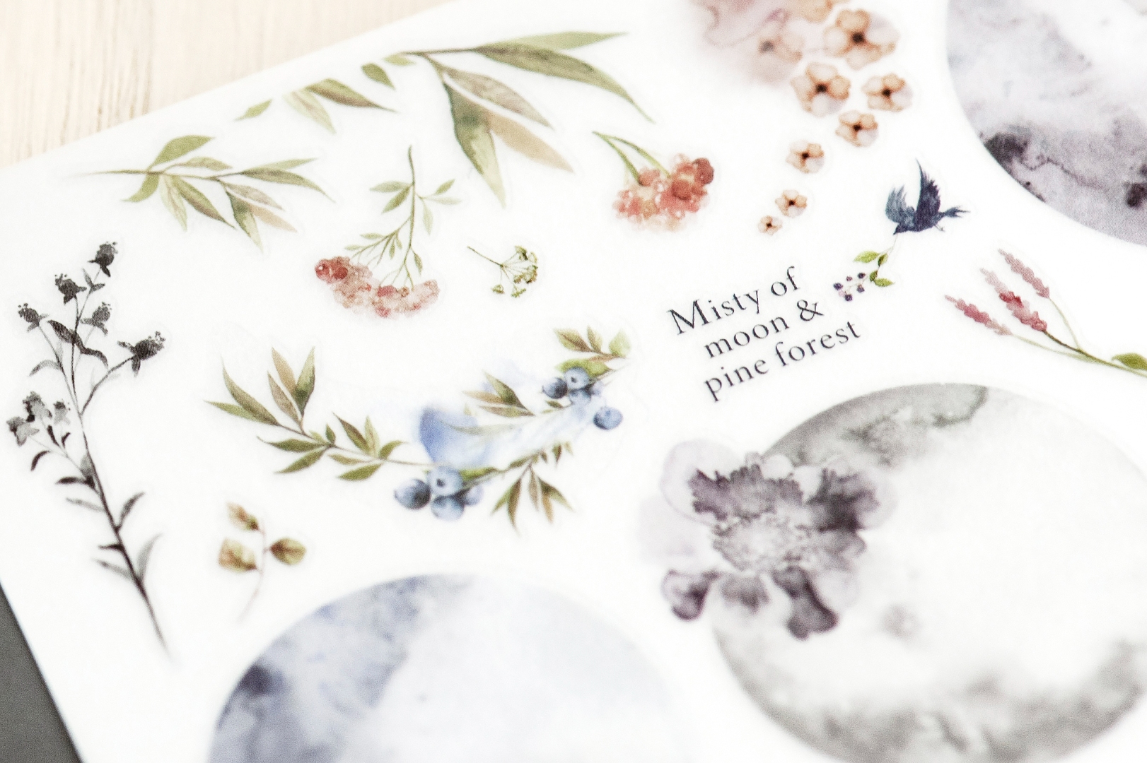 MU Print-On Transfer Stickers 226 - Misty Pineforest