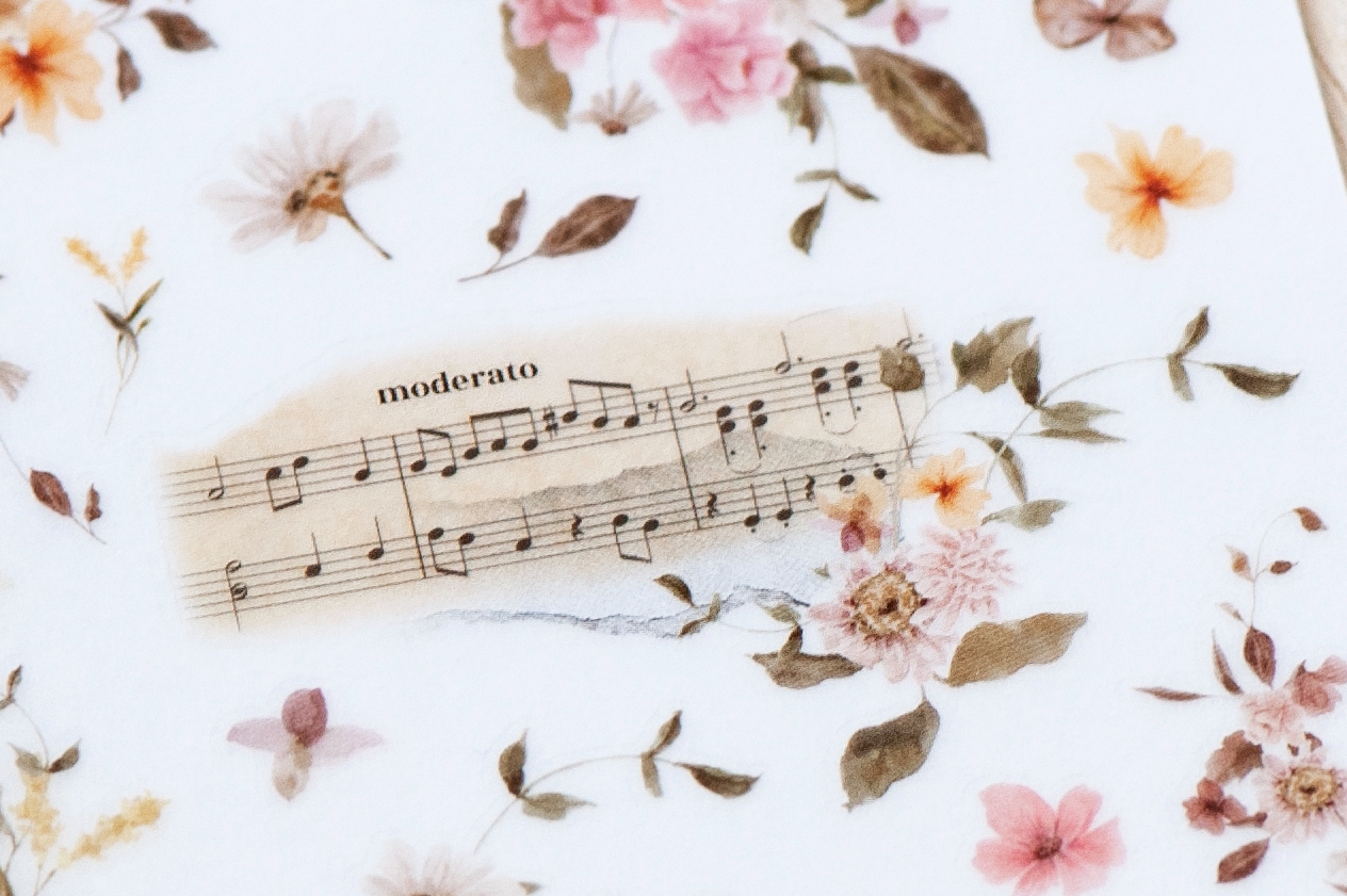 MU Print-On Transfer Stickers 234 - Moderato