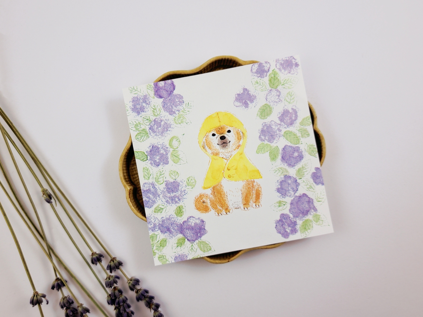 4Legs Memo Paper Set 96 Sheets - Animals