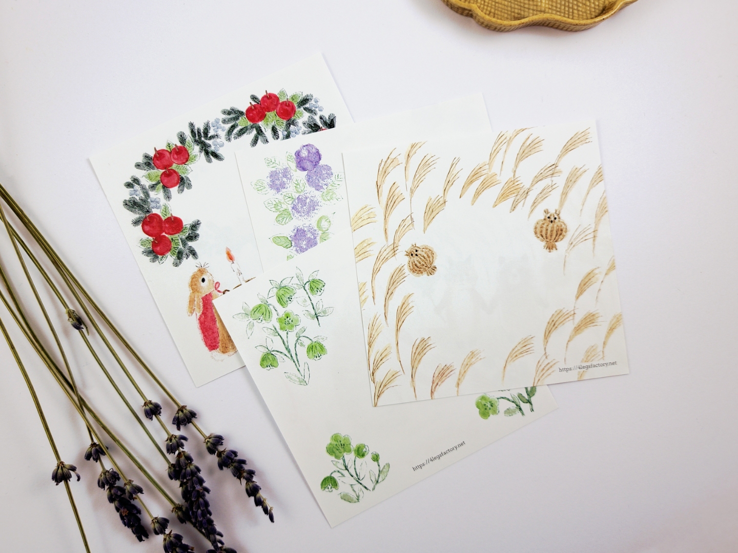 4Legs Memo Paper Set 96 Sheets - Animals