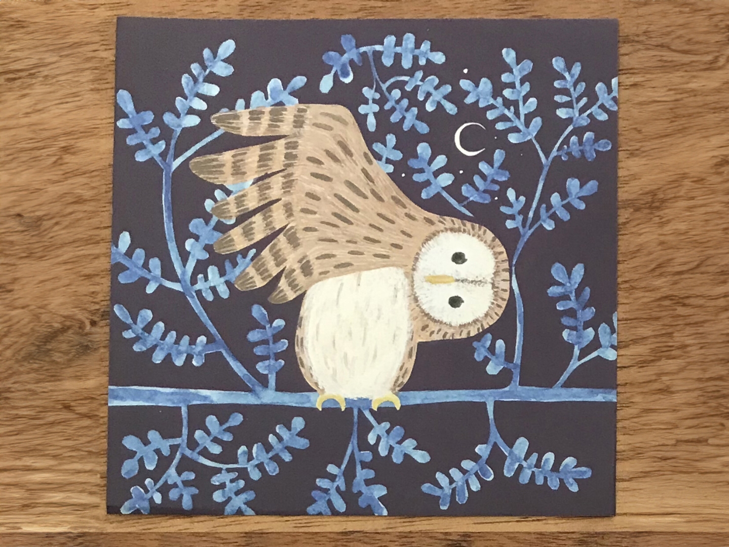 4Legs Memo Paper Set 98 Sheets - Wild Birds