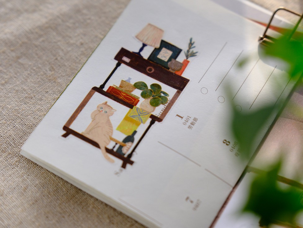 OURS PET Tape - Life With Cats