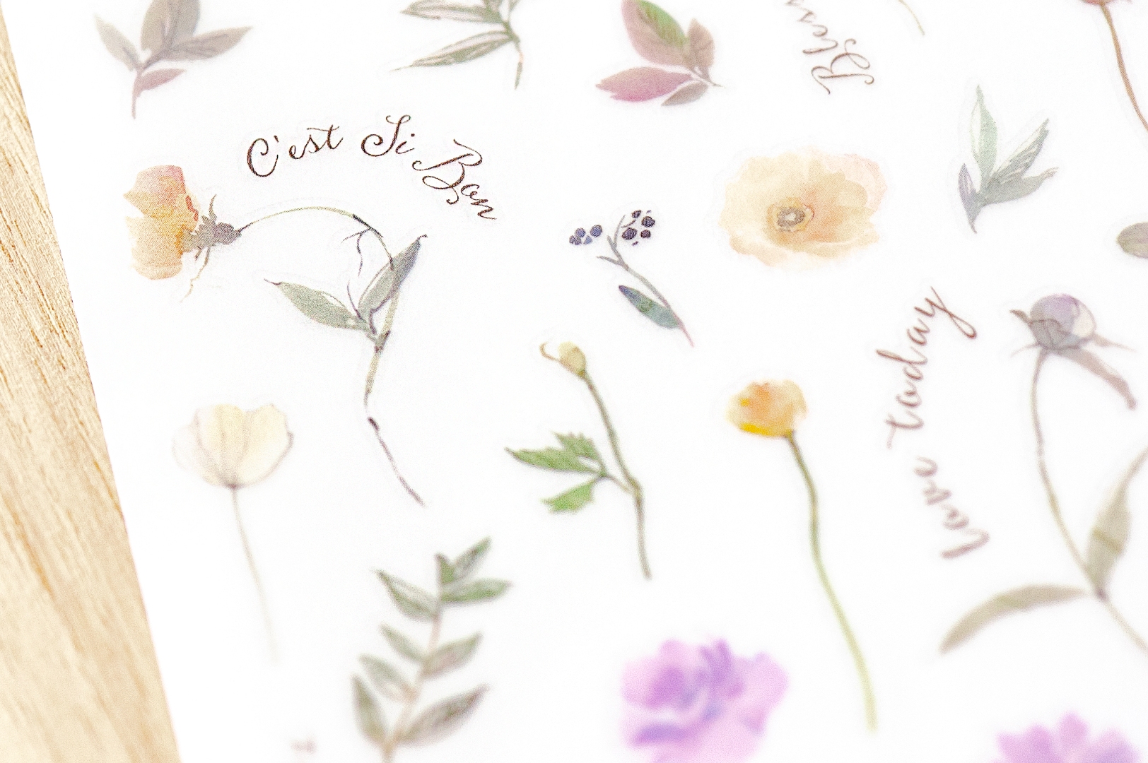 MU Print-On Transfer Stickers 249 - Bliss