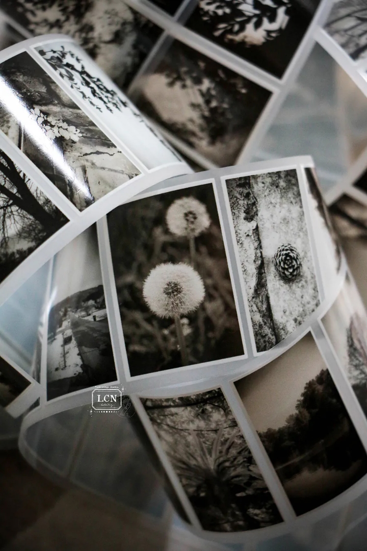 Lin Chia Ning Matte PET Tape - Journey Vol.1