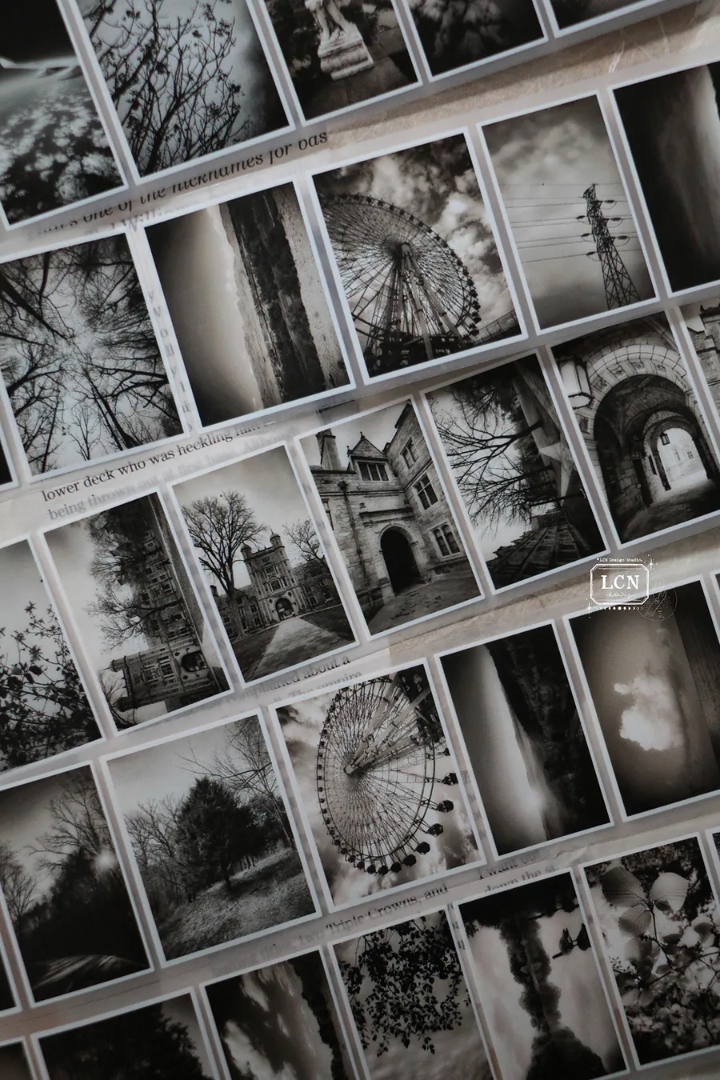 Lin Chia Ning Matte PET Tape - Journey Vol.2