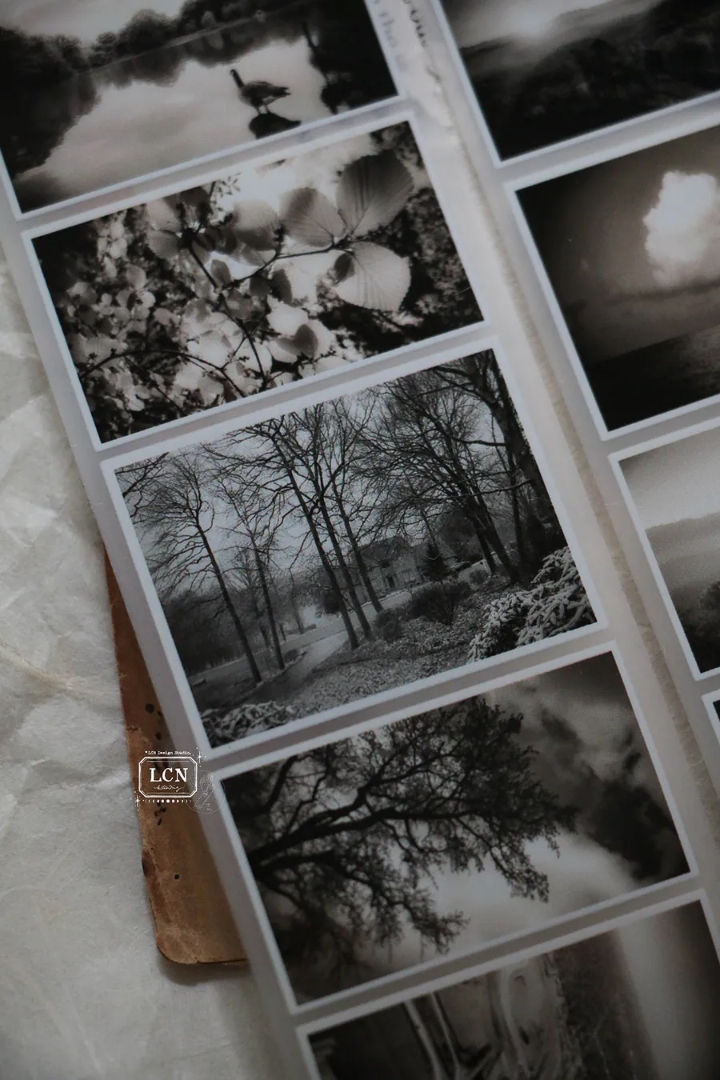 Lin Chia Ning Matte PET Tape - Journey Vol.2