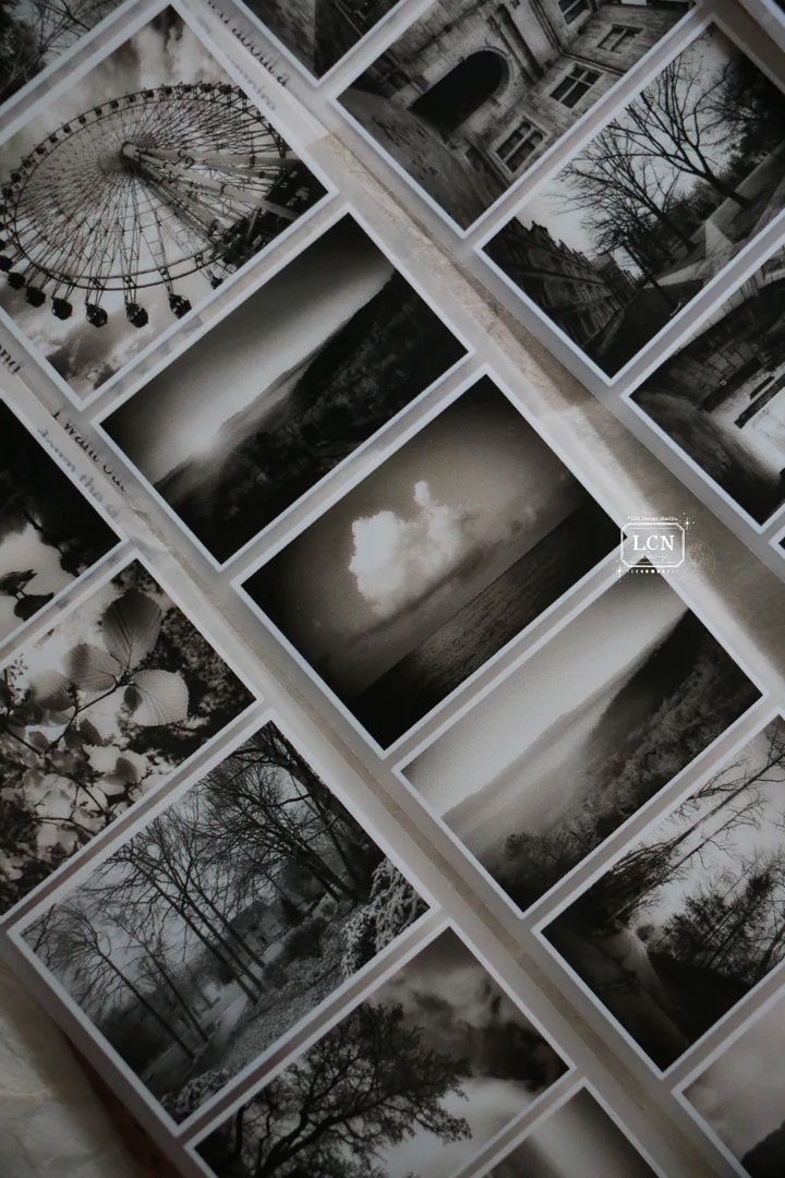 Lin Chia Ning Matte PET Tape - Journey Vol.2