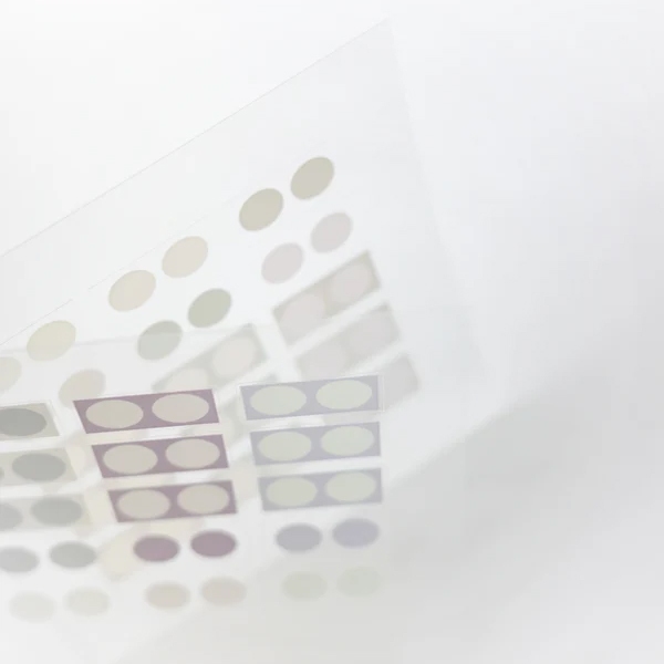 Nyret PET Stickers - Dot Pastel