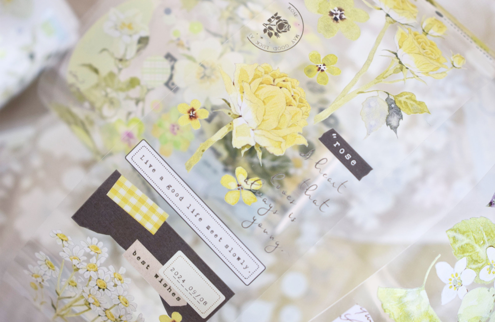 Wildberry Lab Tape - Dot Green