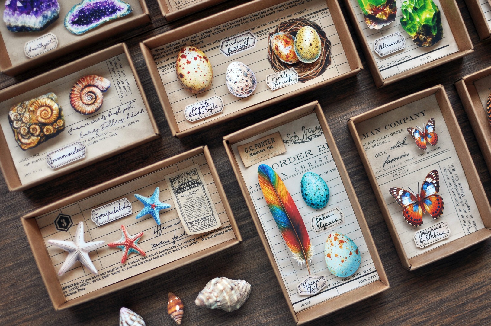 Miaostelle Matte PET Tape - Little Trasures 1