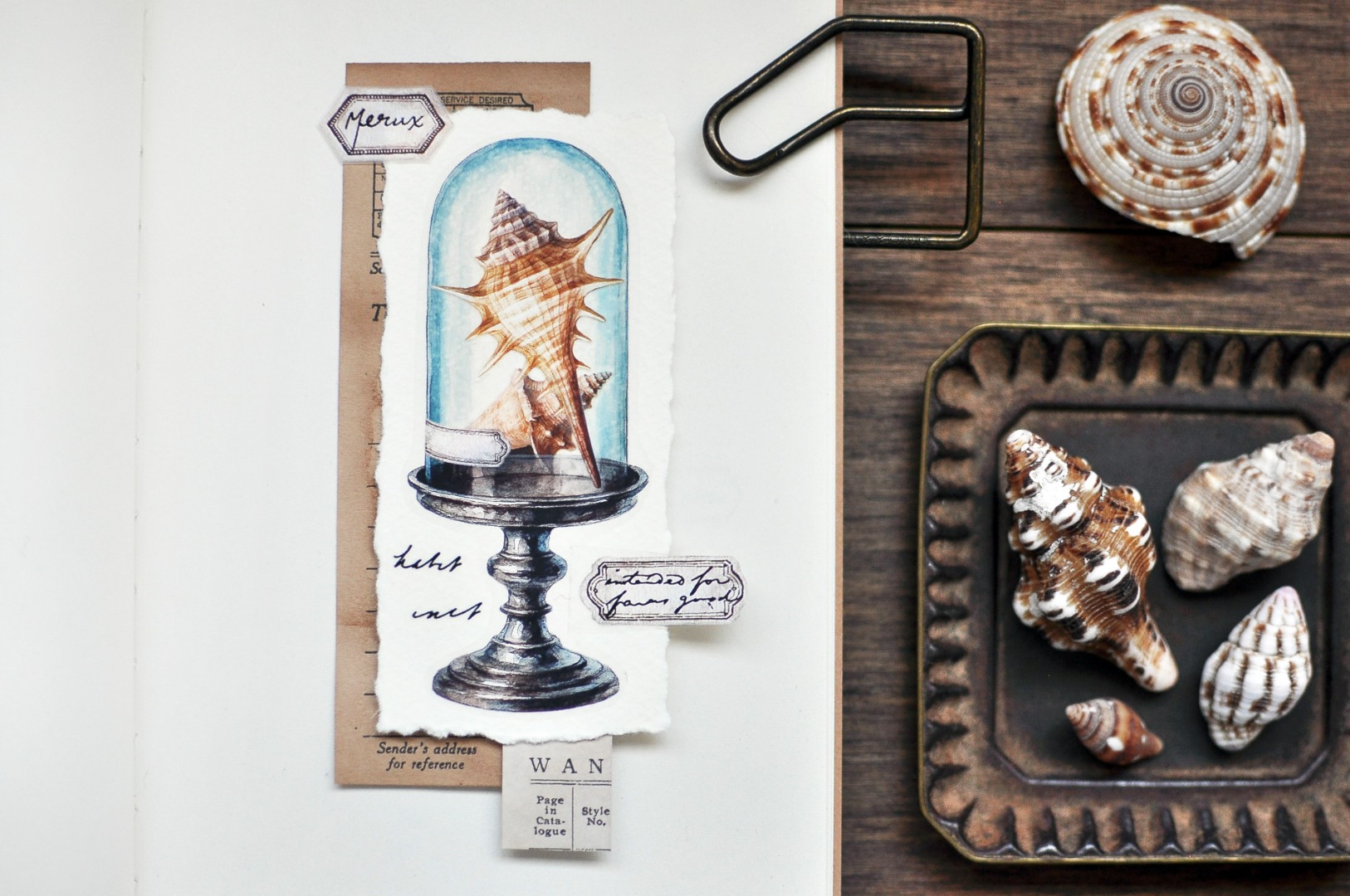 Miaostelle Matte PET Tape - Little Trasures 1