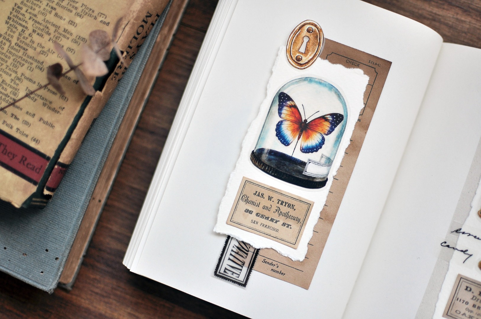 Miaostelle Matte PET Tape - Butterfly Specimen