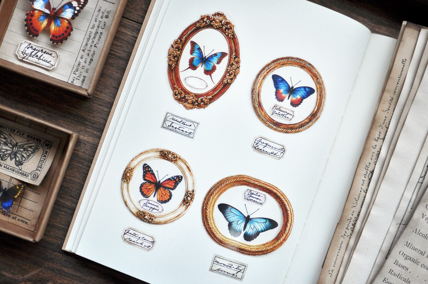 Miaostelle Matte PET Tape - Butterfly Specimen