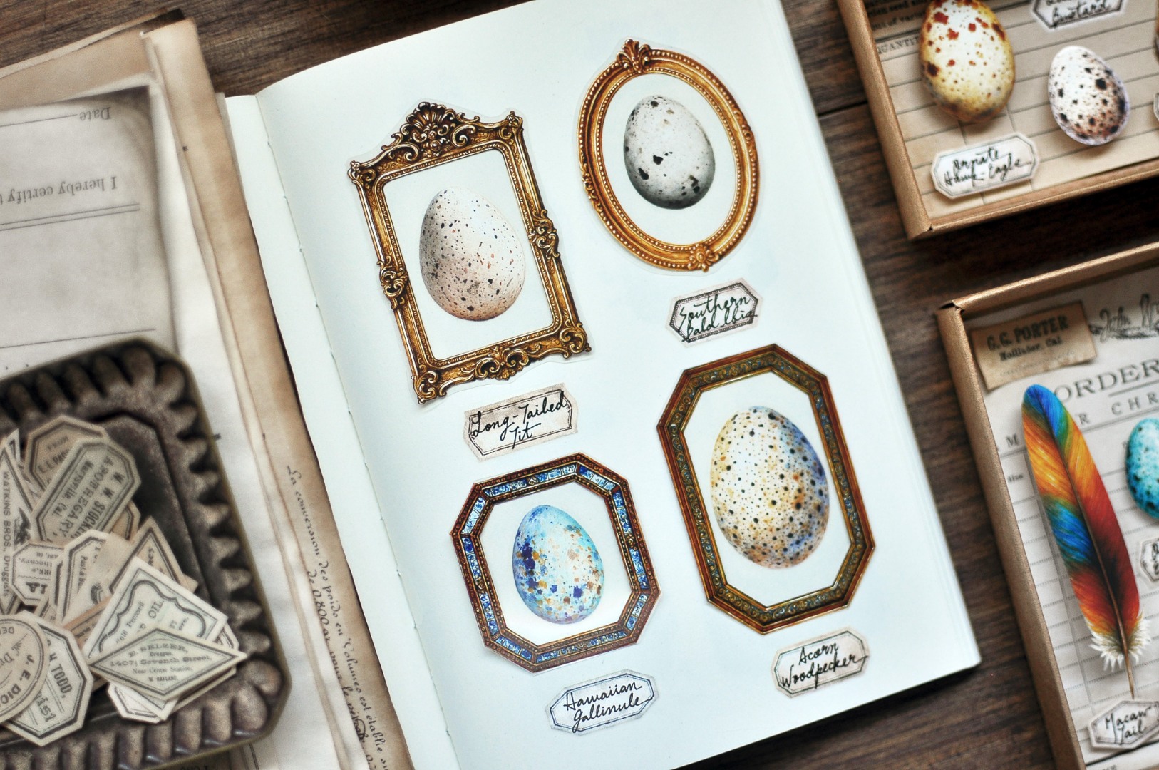 Miaostelle Glossy PET Tape - Vintage Picture Frame