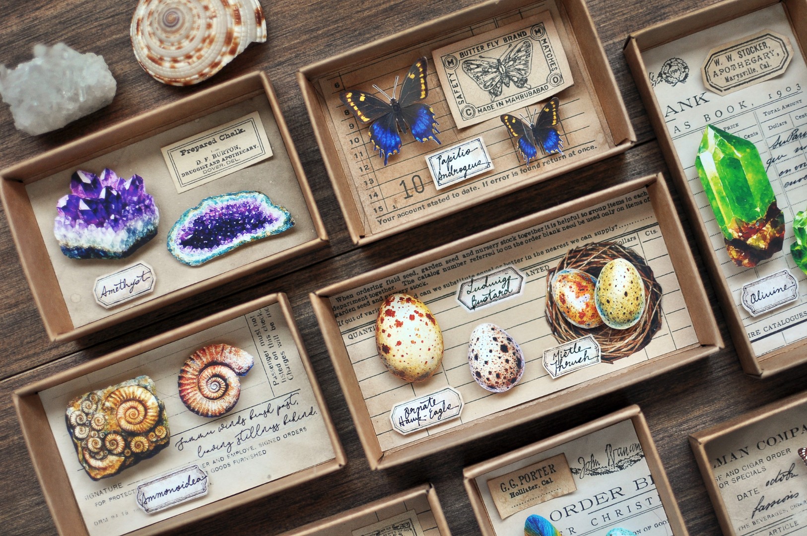 Miaostelle Matte PET Tape - Little Trasures 1