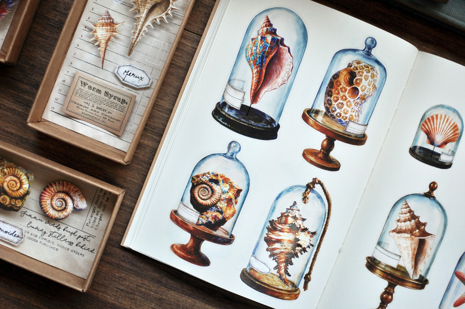 Miaostelle Matte PET Tape - Little Trasures 1