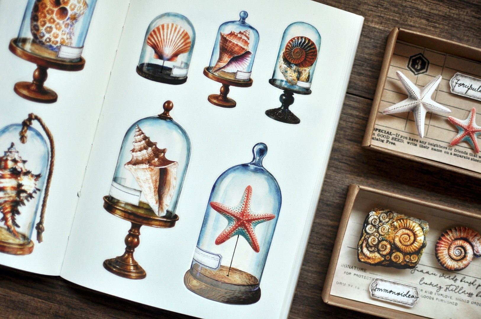 Miaostelle Matte PET Tape - Little Trasures 1