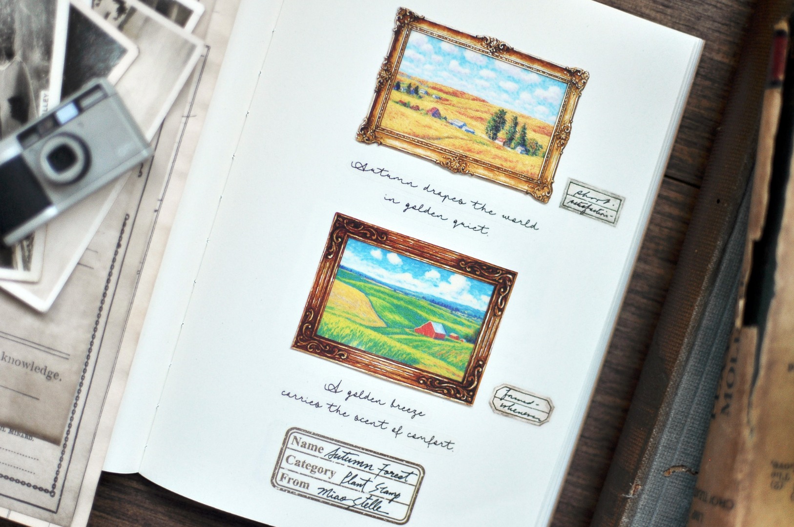 Miaostelle Glossy PET Tape - Vintage Picture Frame