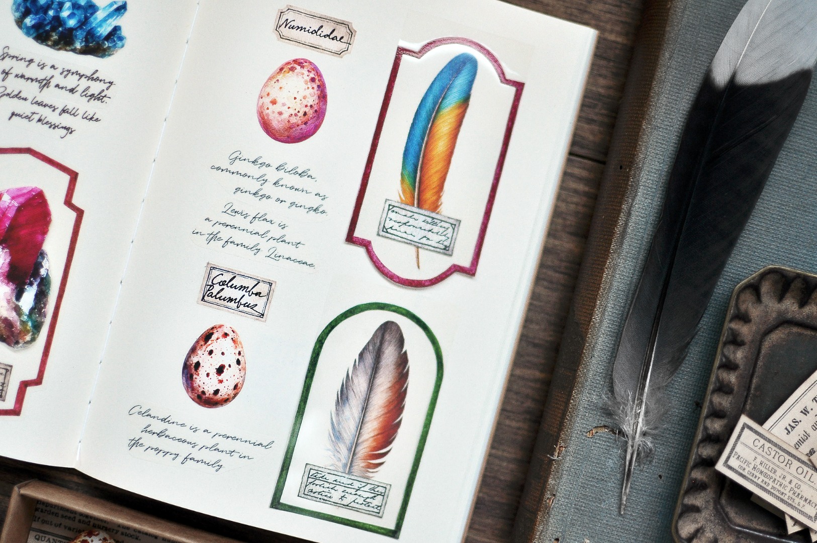 Miaostelle Matte PET Tape - Little Trasures 2