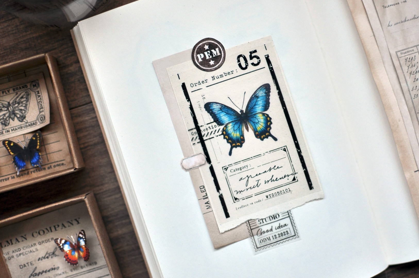 Miaostelle Matte PET Tape - Butterfly Specimen