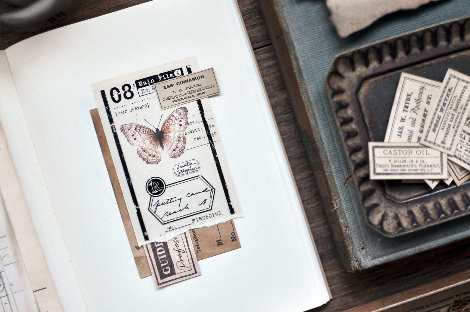 Miaostelle Matte PET Tape - Butterfly Specimen