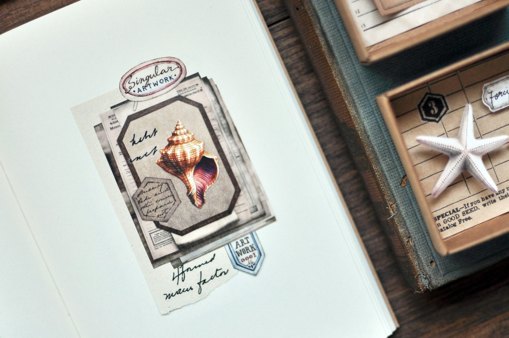 Miaostelle Matte PET Tape - Little Trasures 1