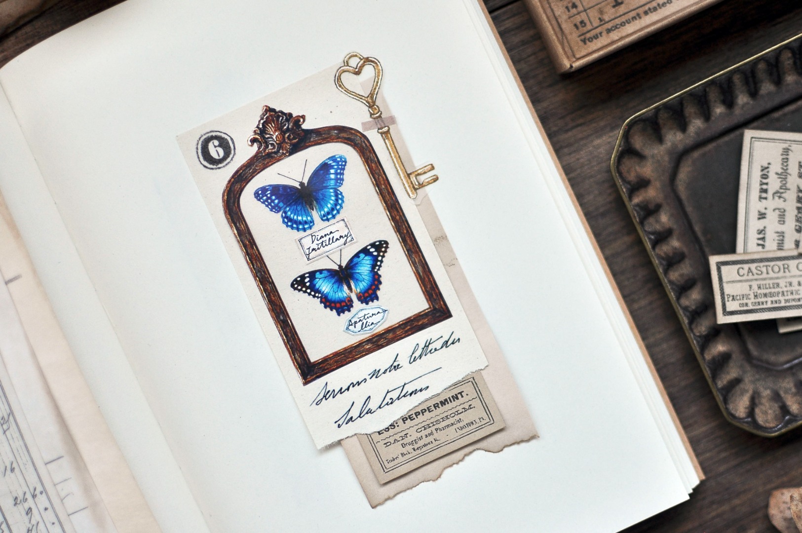 Miaostelle Matte PET Tape - Butterfly Specimen