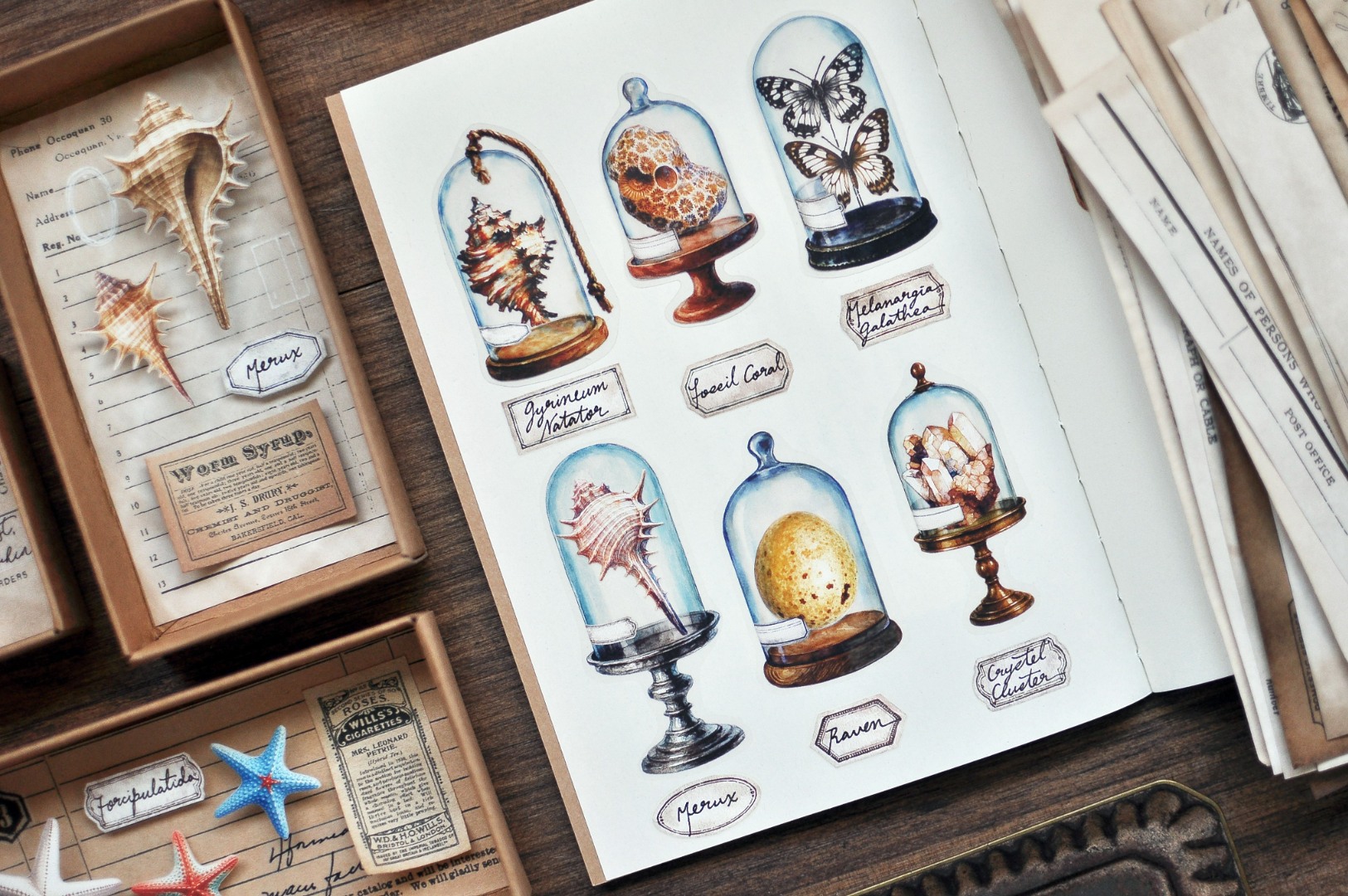 Miaostelle Matte PET Tape - Little Trasures 1