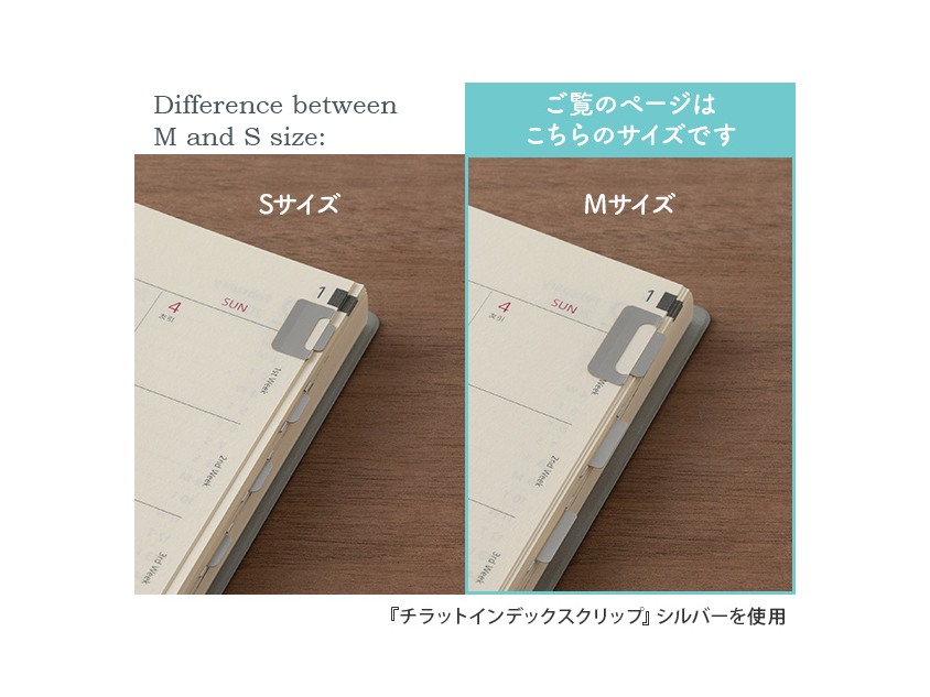 Midori Index Clip Chiratto M Size - Brass