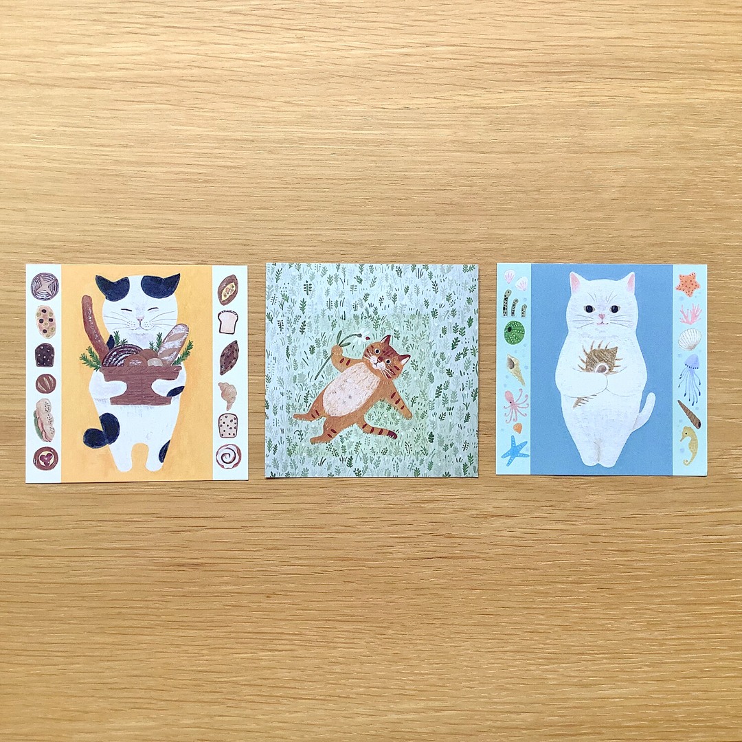 4Legs Notepaper Set - 30 Different Cats