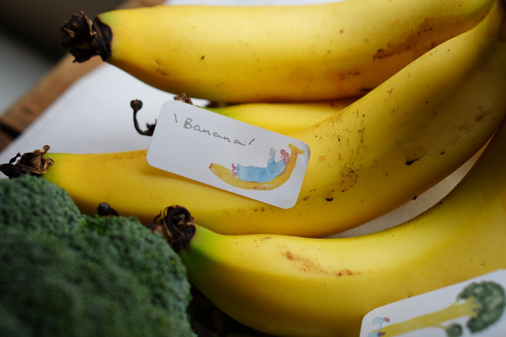 Ivy Snow Sticky Notes Roll - Farmer's Market