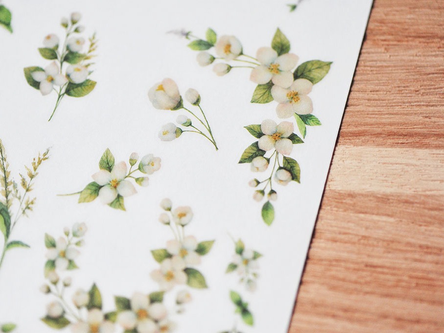 MU Print On Stickers Botanical Series Mint And Jasmine