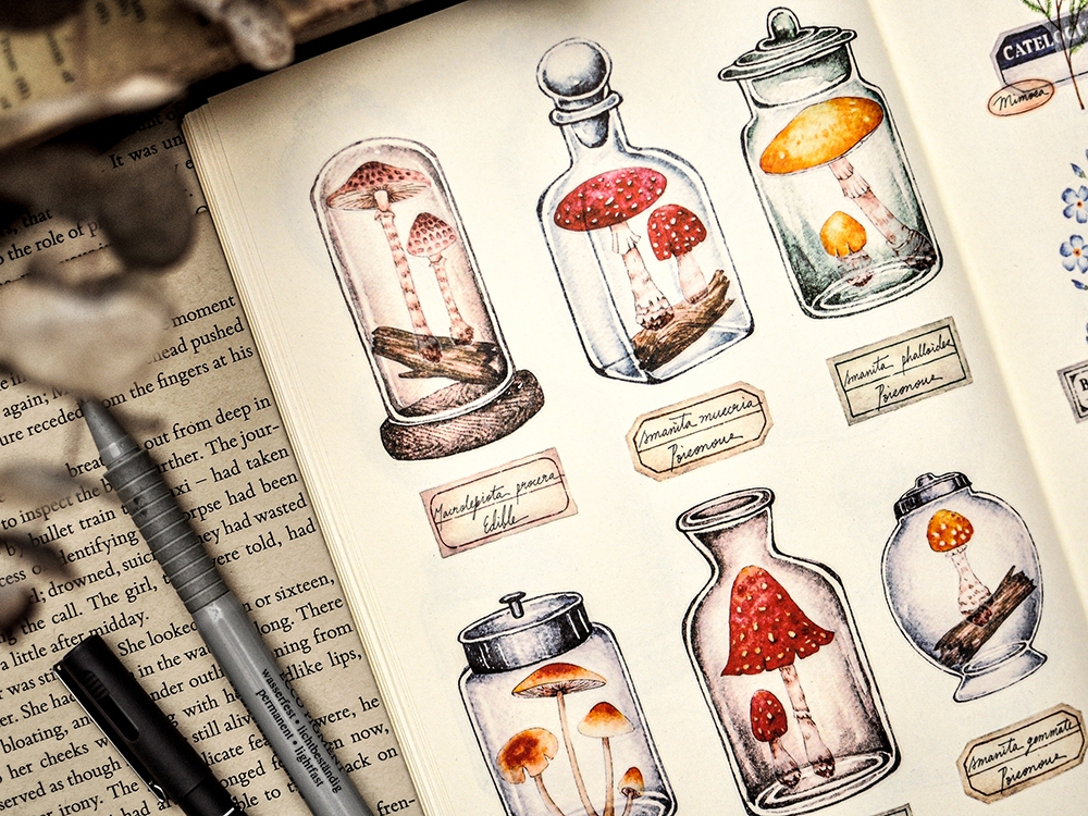 Miao Stelle Washi Tape - Mushroom Illustration Red