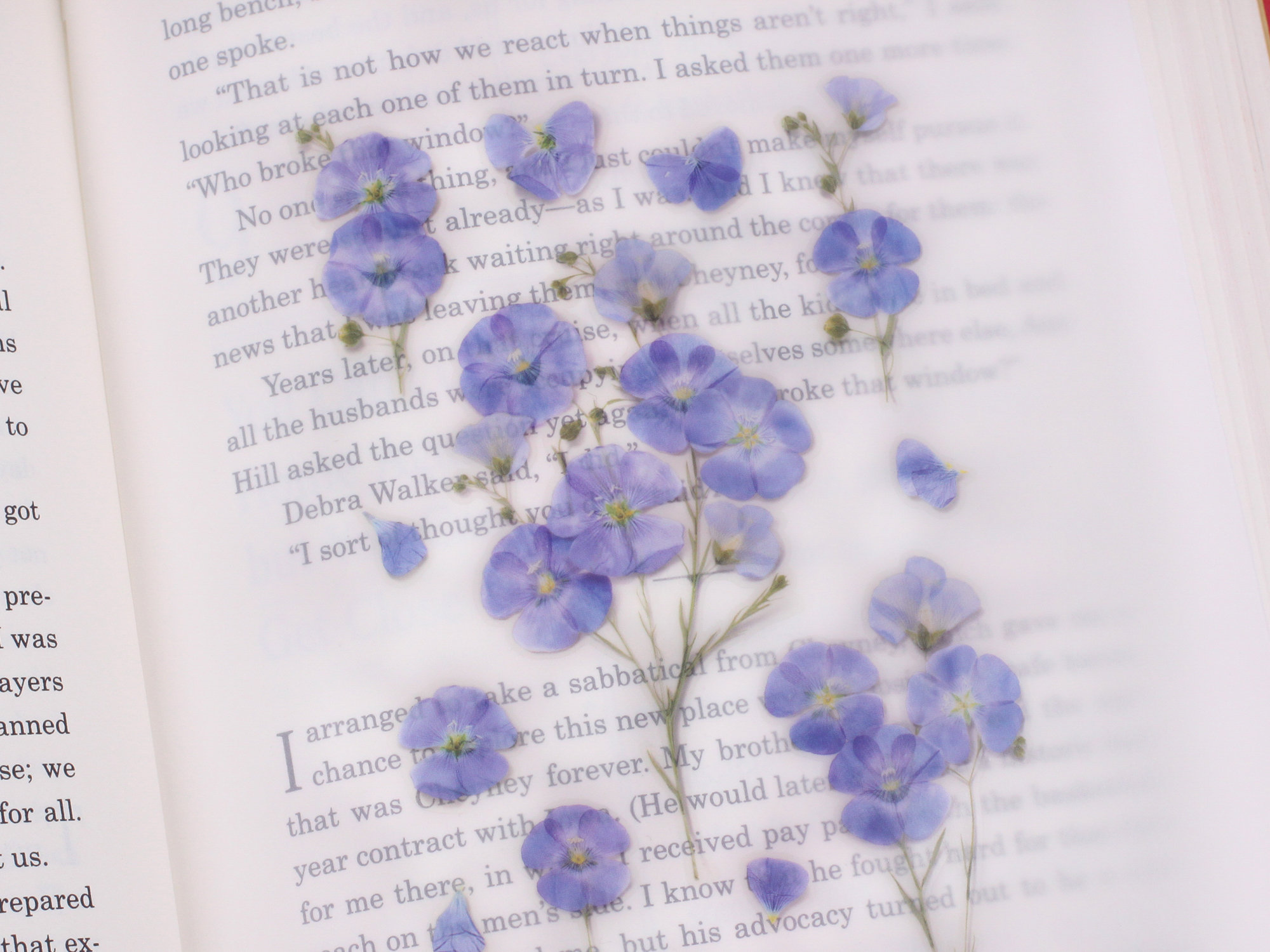 Appree Pressed Flower Stickers - Flax