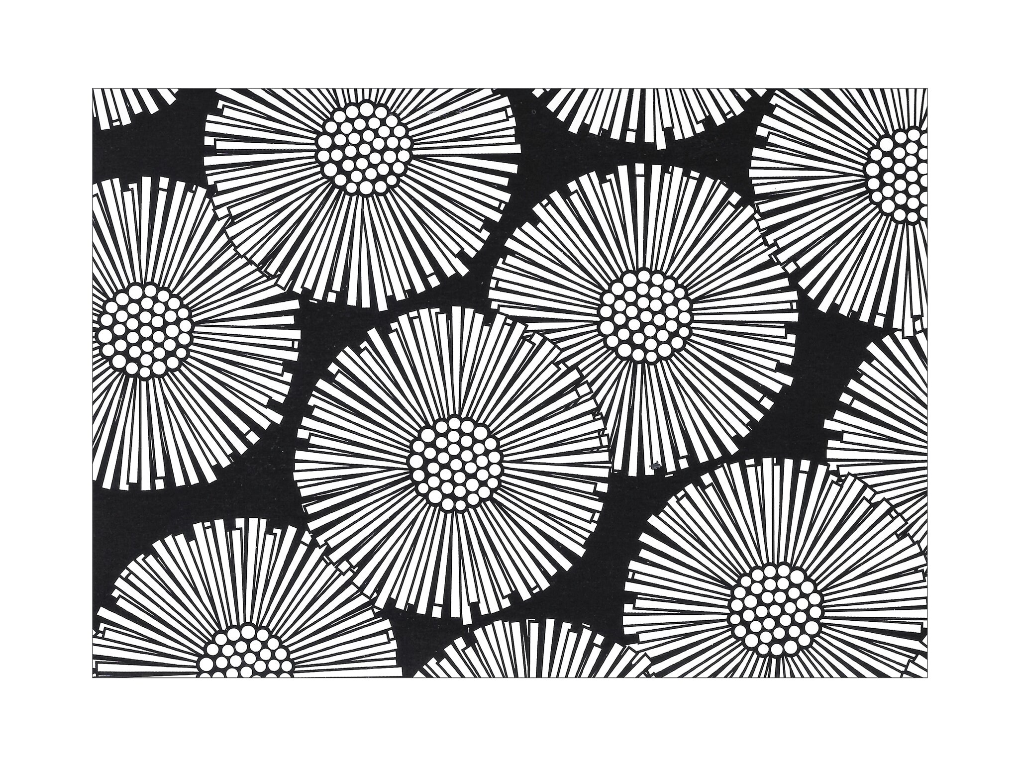 Postcard Black And White Floral Ratia - Leskenlehti