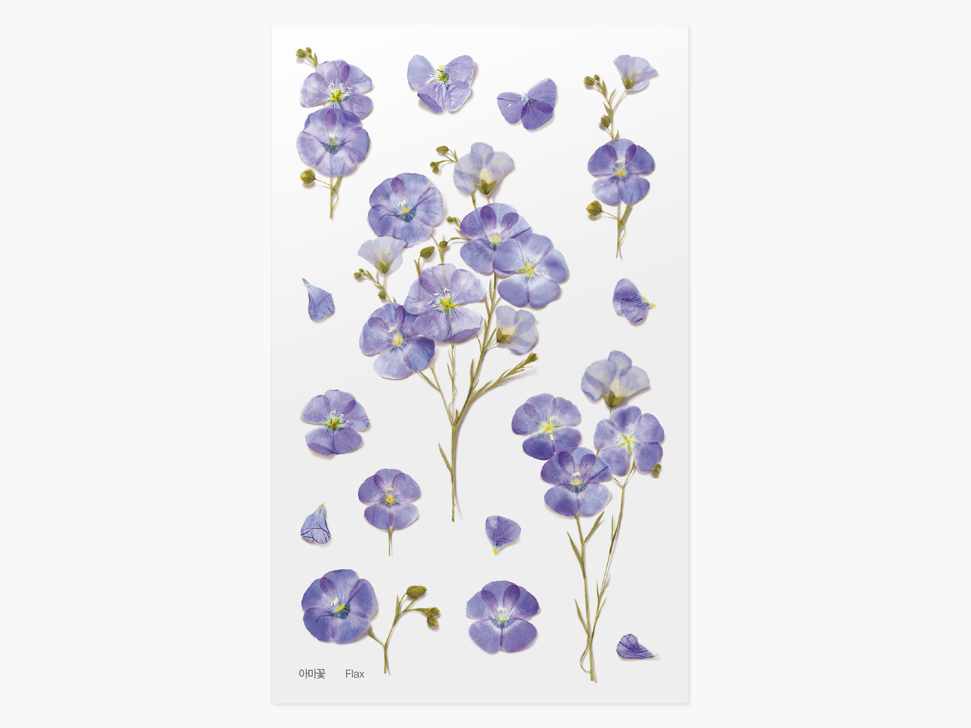 Appree Pressed Flower Stickers - Flax